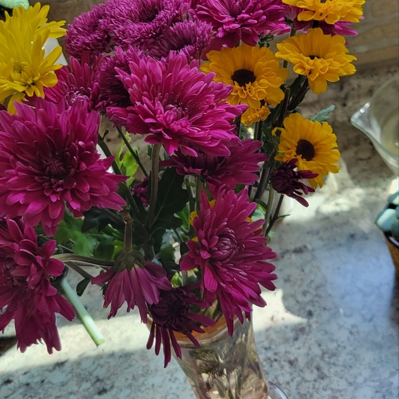 Meet your Posher, Sheri - Picture 2 of 2